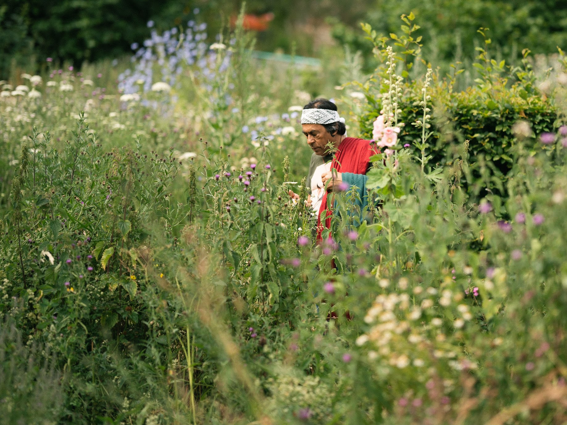 Ailton Krenak num jardim em Londres